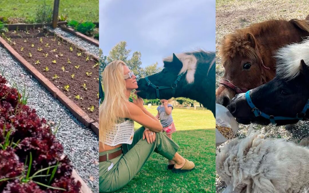 Así es la impresionante granja de Nicole Neumann