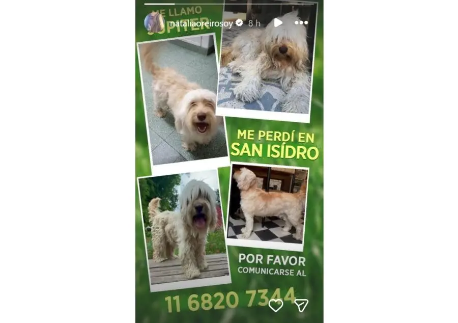 Júpiter, el oerro de Natalia Oreiro