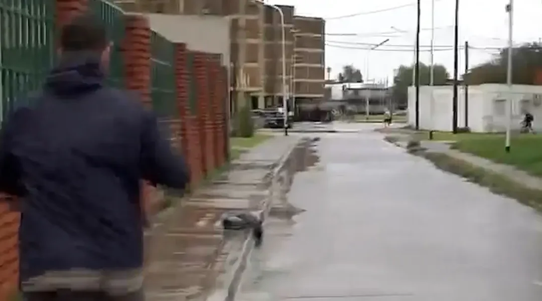 Robo y locura en plena inundación: asaltaron al móvil de A24 en vivo y el cronista persiguió a los chorros