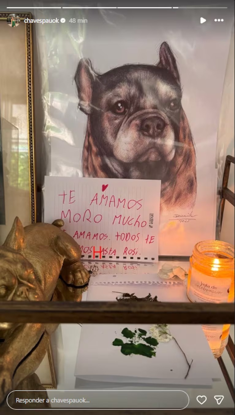 Paula Chaves mostró el altar que le hizo a su perro, Moro