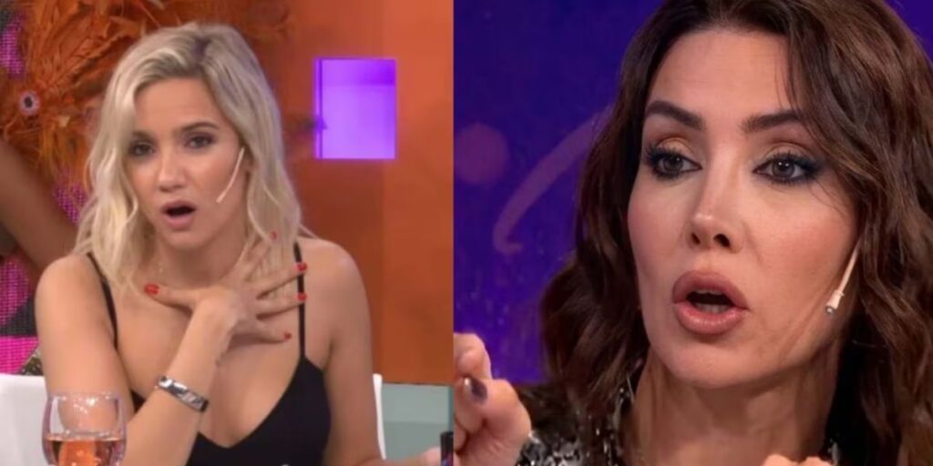Guerra de panelistas: Amalia Díaz Guiñazú reflotó un viejo escándalo y cruzó en vivo a Naza Di Serio