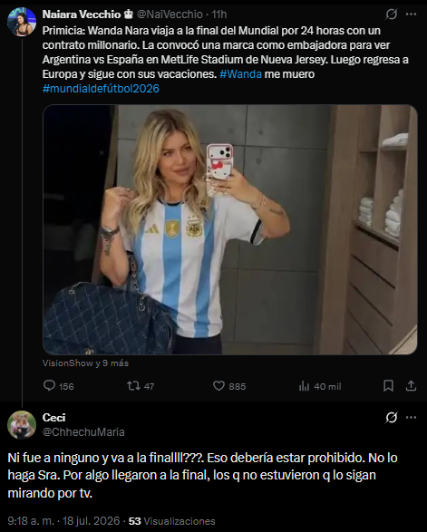 Wanda Nara recibió críticas por viajar a la final del Mundial