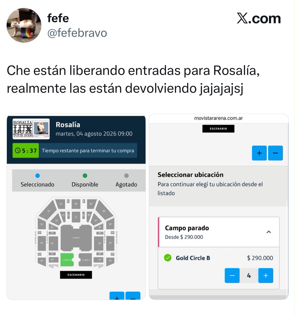 Tras la polémica con la Selección Argentina, comenzaron a devolver las entradas de Rosalía