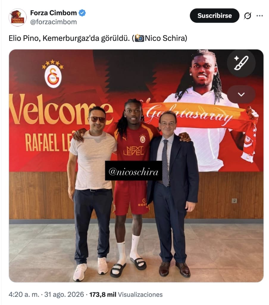 Elio pino representante icardi 904x1024.png