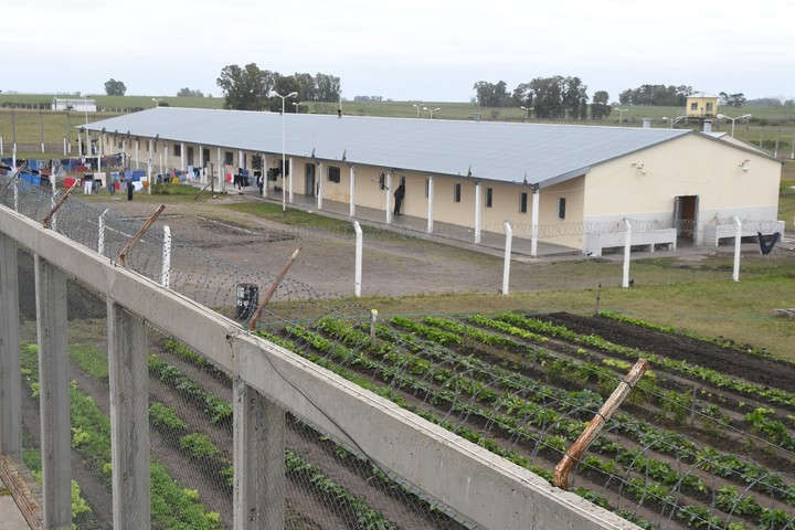 Granja