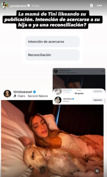 Pochi Pruebas